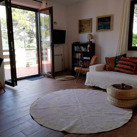 Apartments Vila Marija Grebaštica Dış mekan fotoğraf
